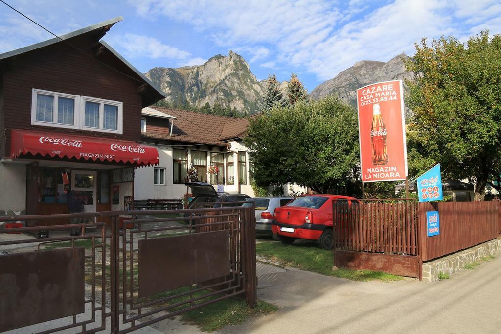 Casa Maria Busteni - Poiana Tapului Kültér fotó