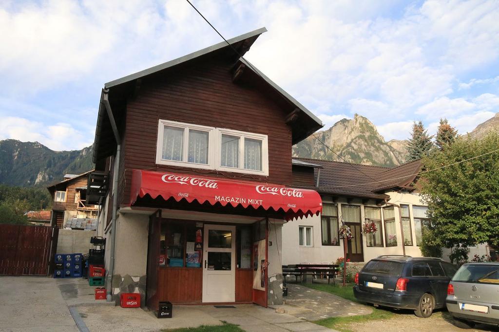 Casa Maria Busteni - Poiana Tapului Kültér fotó